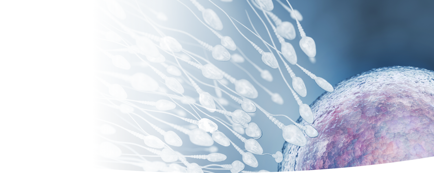 精子处理 韦拓生物 深圳韦拓生物科技有限公司